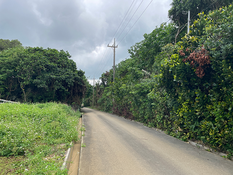 物件No：0293（売買）静かな栄集落内物件