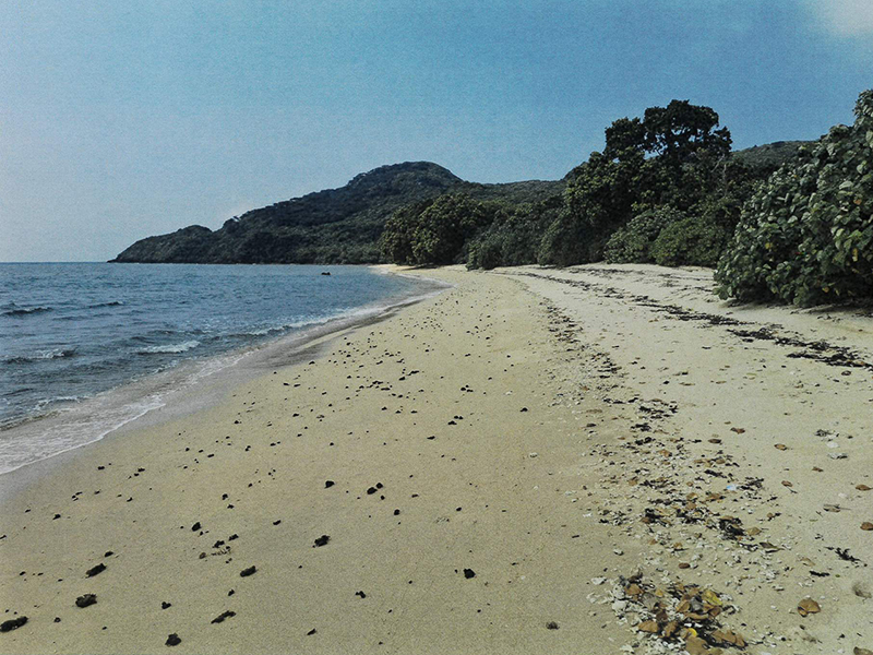 物件No:0294(売買)目の前のビーチ石垣で一番有名なダイビングスポット、マンタも見る事ができます。 物件No:0294(売買)目の前のビーチ石垣で一番有名なダイビングスポット、マンタも見る事ができます。